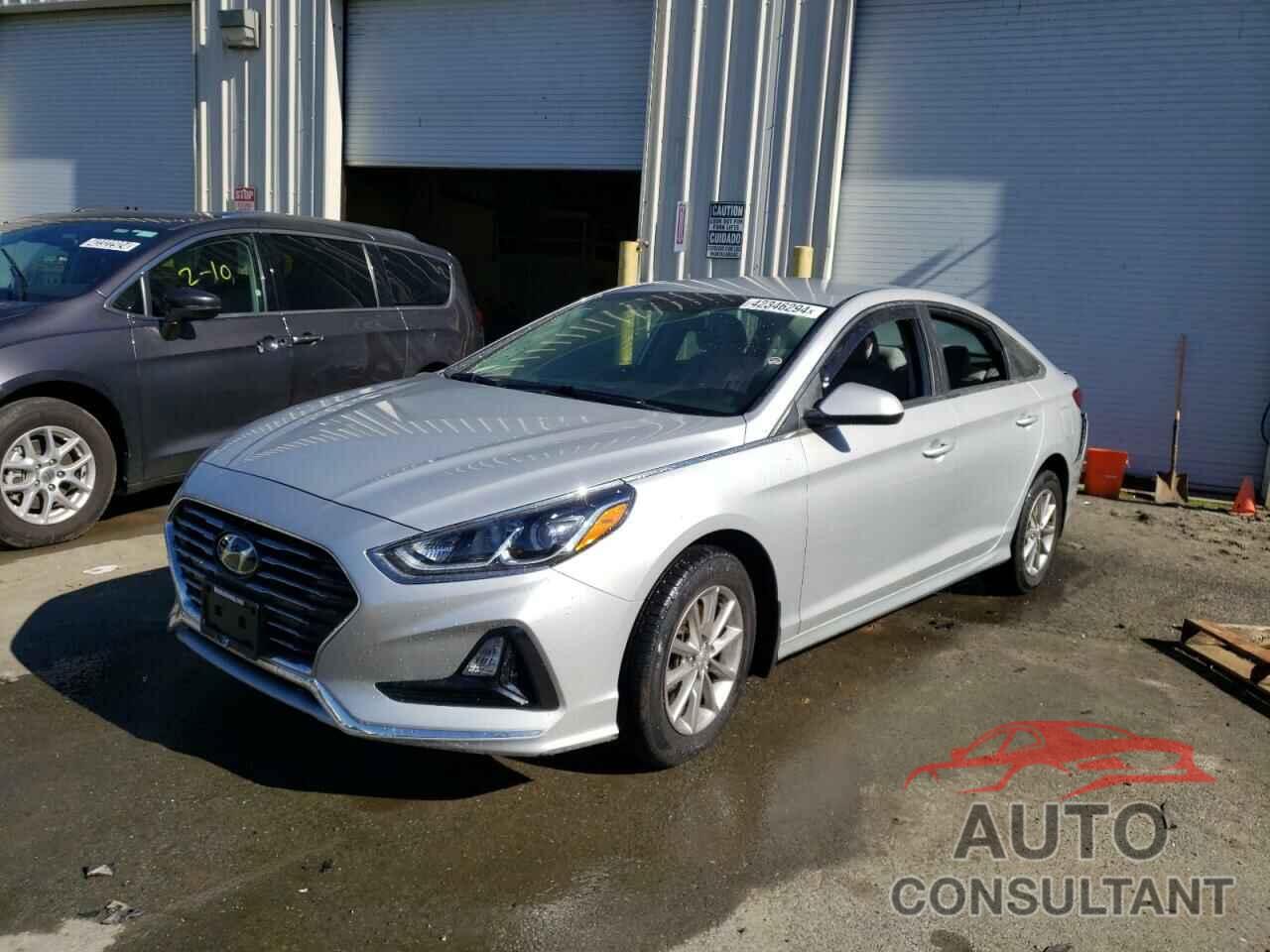 HYUNDAI SONATA 2019 - 5NPE24AF5KH804262