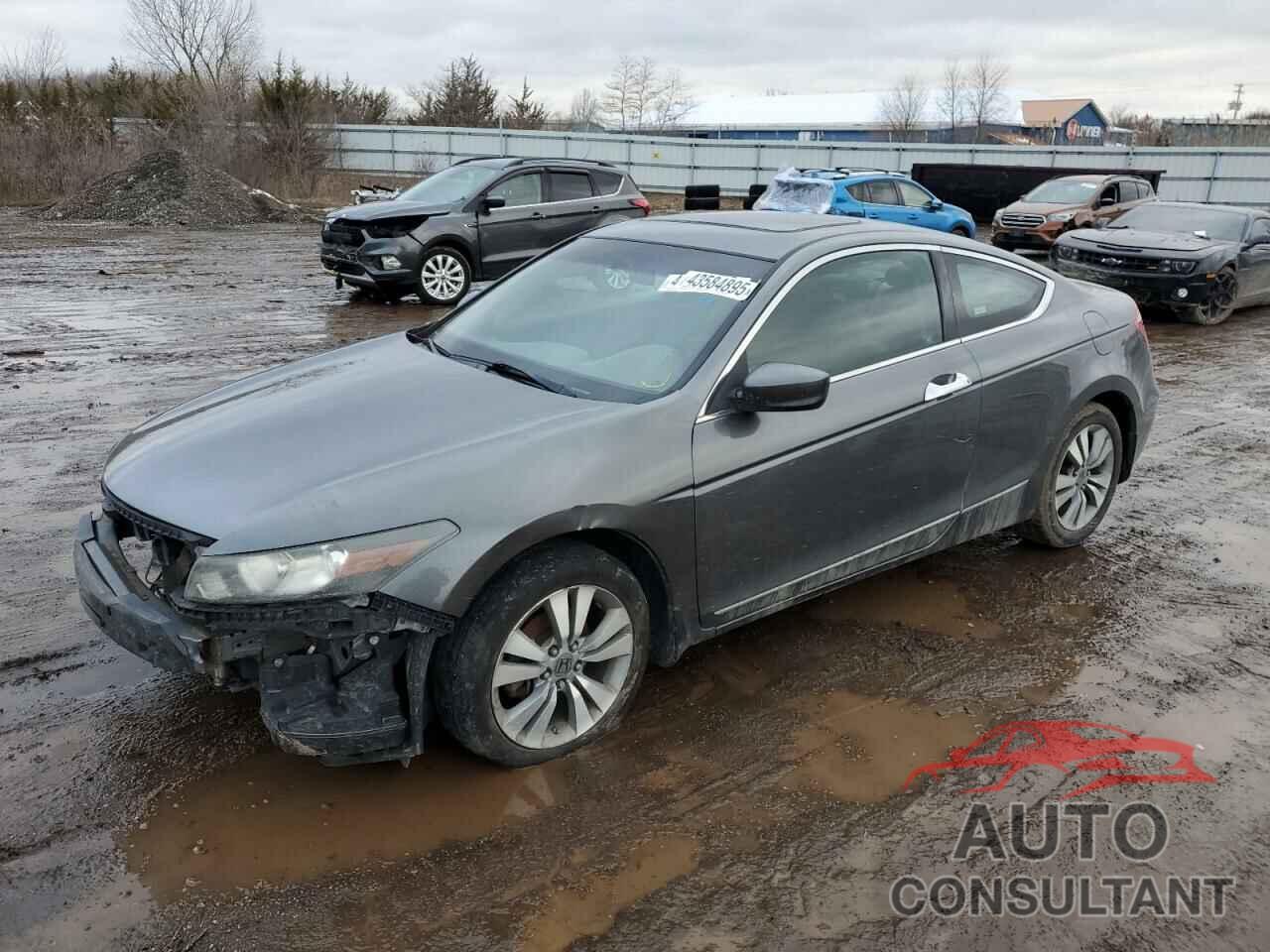 HONDA ACCORD 2009 - 1HGCS12309A021492