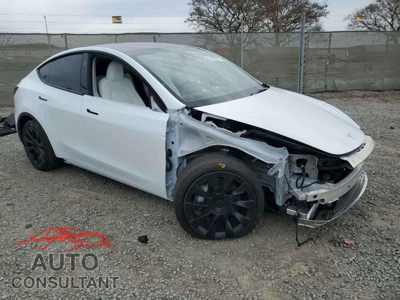 TESLA MODEL Y 2024 - 7SAYGDEE4RF082262