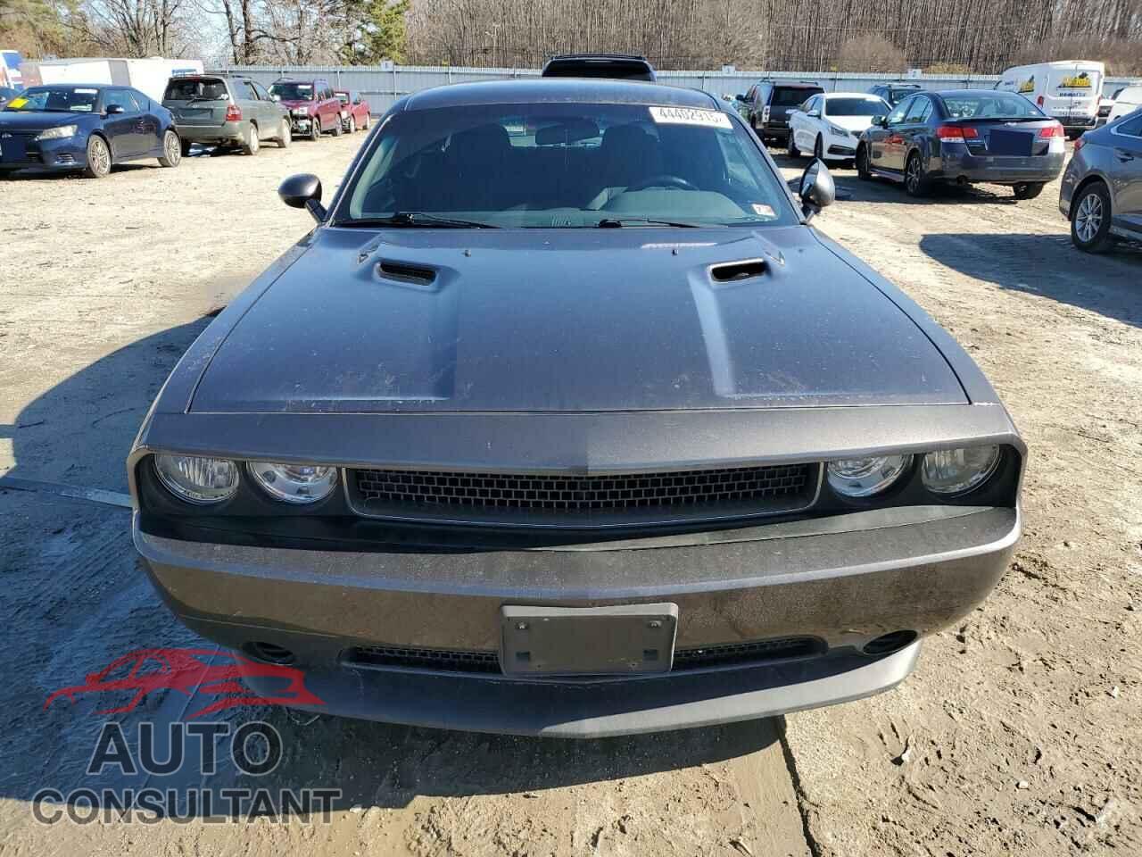 DODGE CHALLENGER 2014 - 2C3CDYAG7EH269938