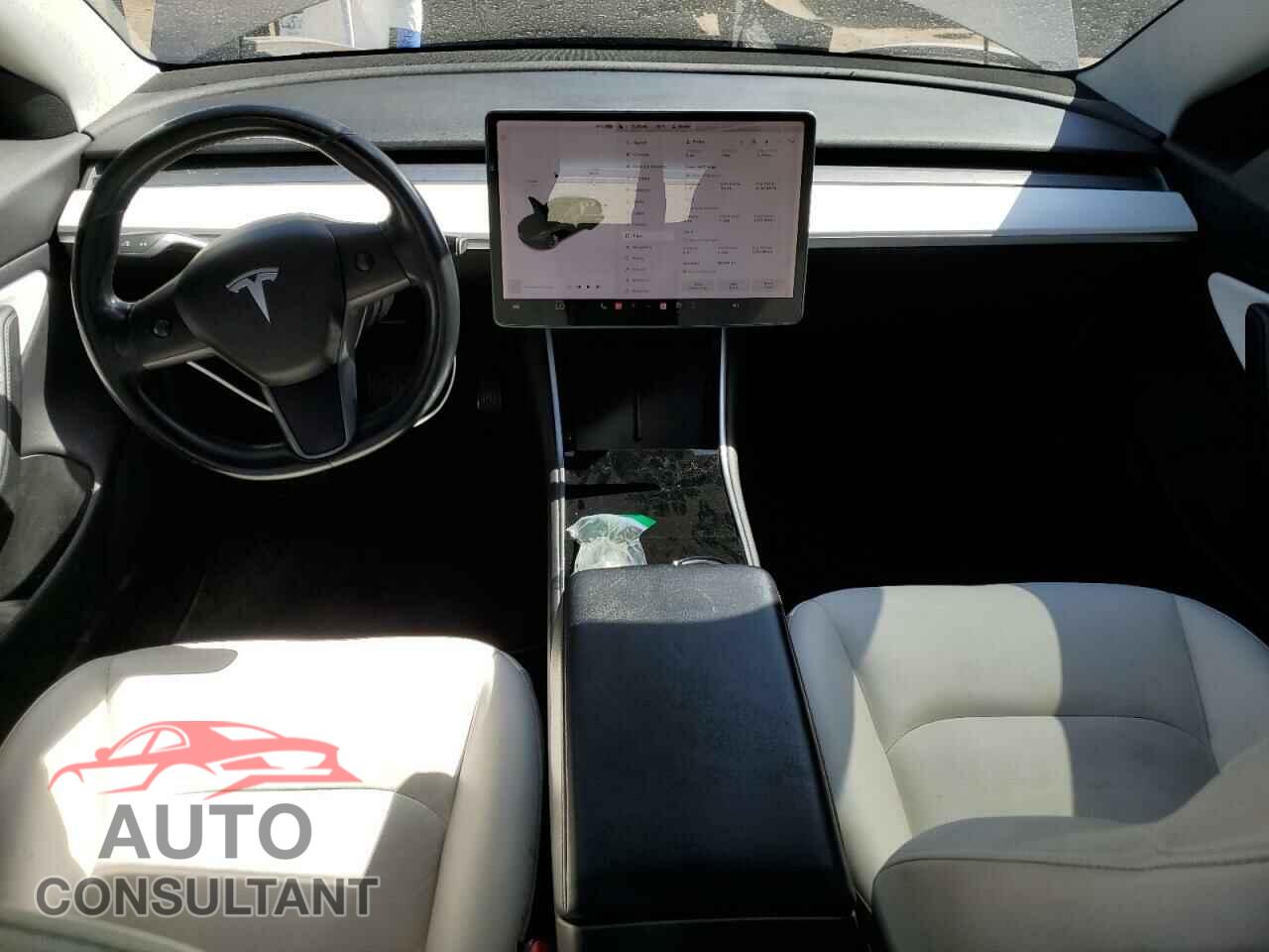 TESLA MODEL 3 2019 - 5YJ3E1EBXKF195382