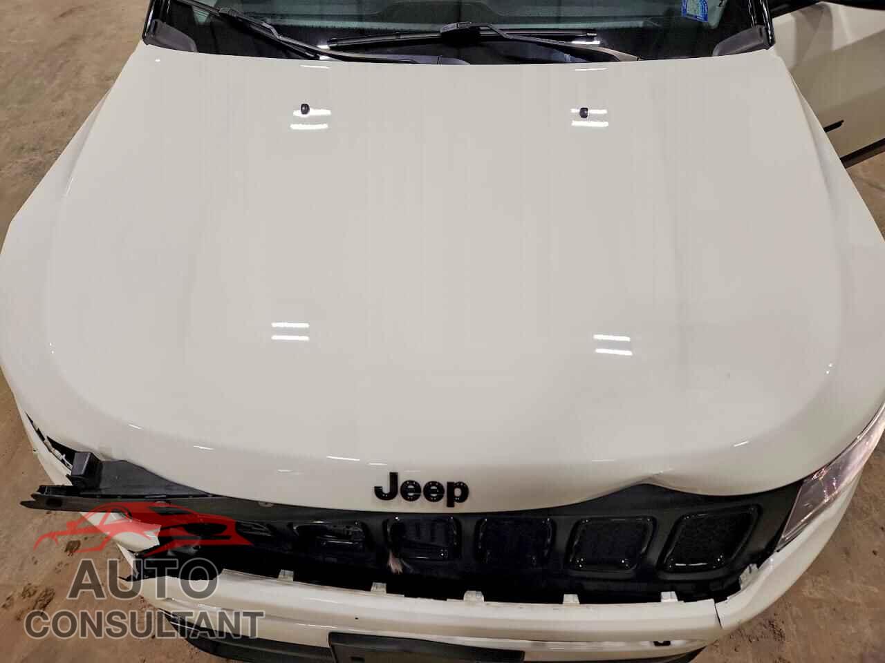 JEEP COMPASS 2019 - 3C4NJDBB7KT653584