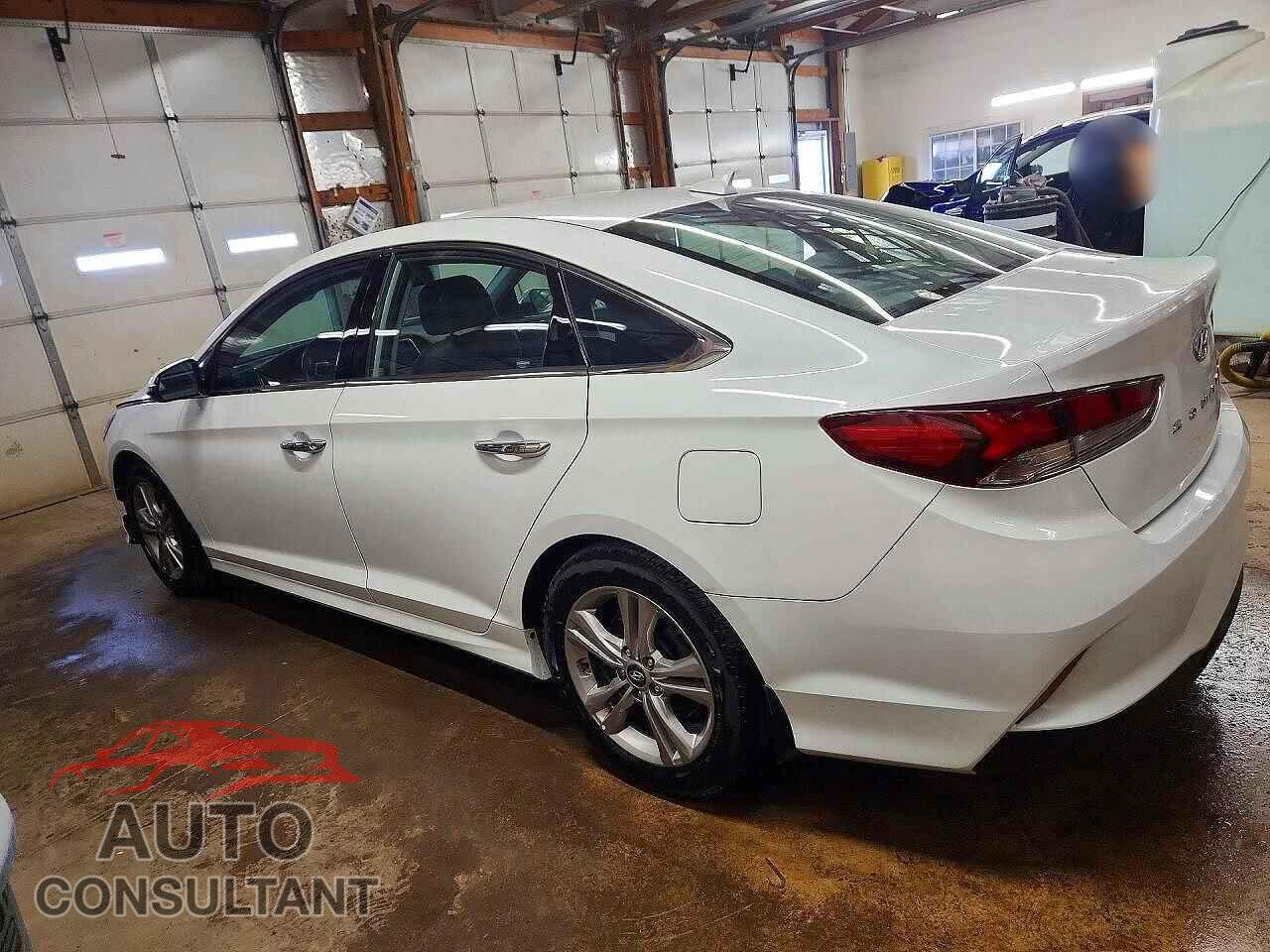 HYUNDAI SONATA 2018 - 5NPE34AF5JH720437