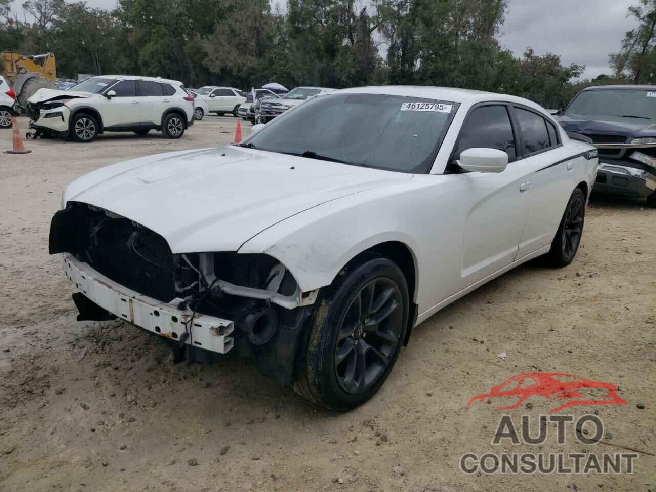 DODGE CHARGER 2011 - 2B3CL3CG1BH584231
