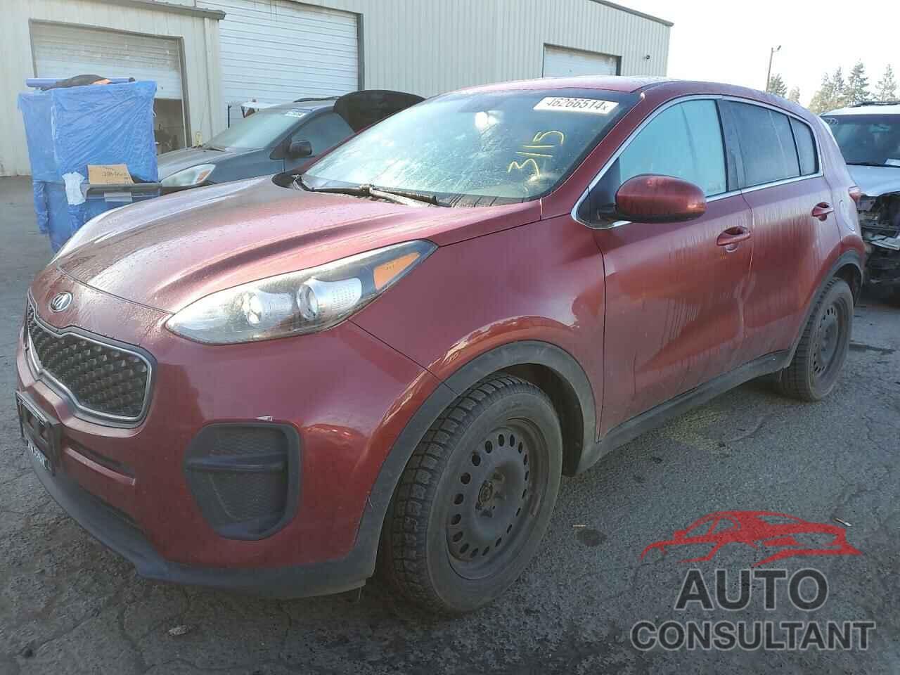 KIA SPORTAGE 2017 - KNDPM3AC0H7107131