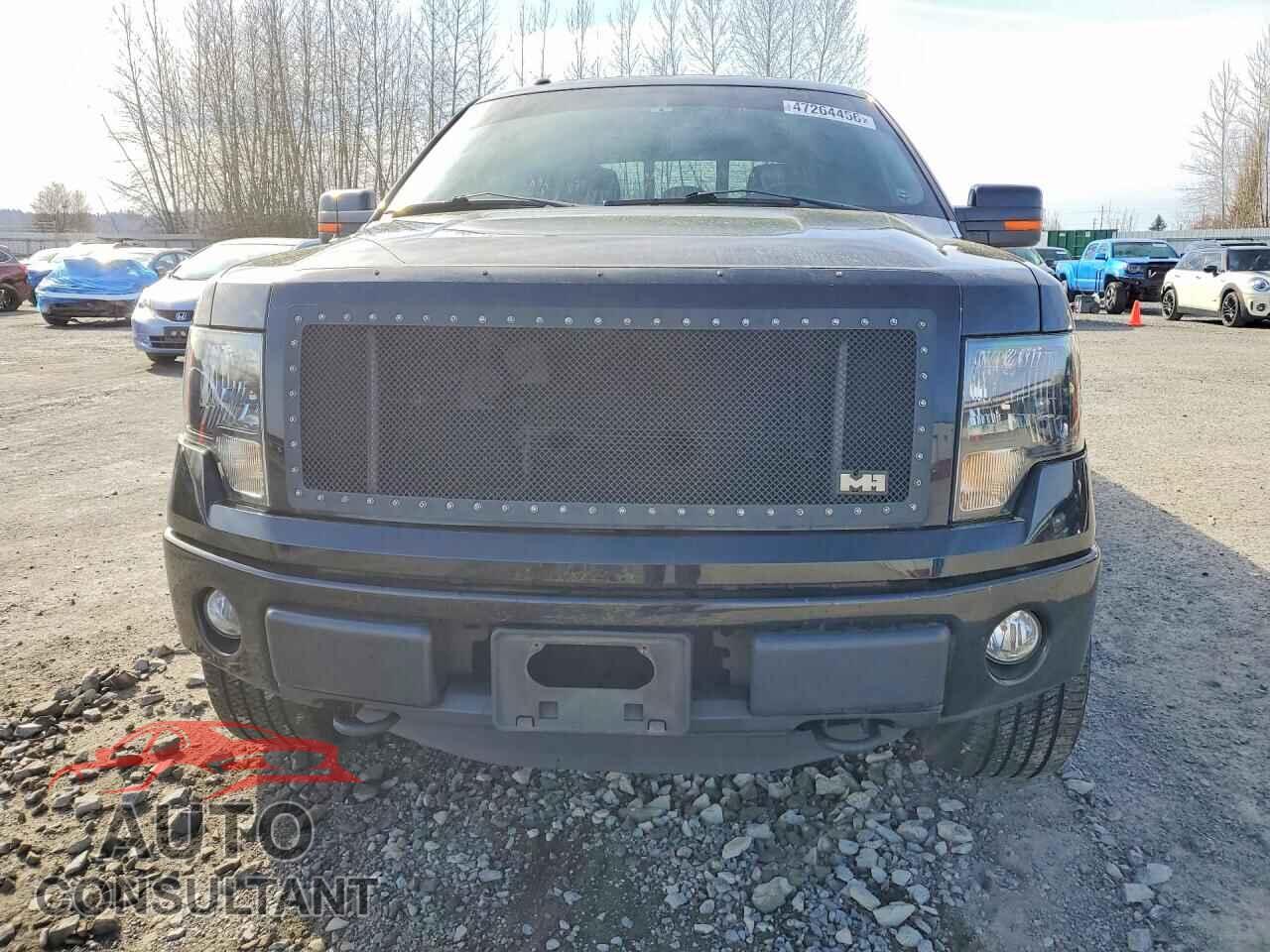 FORD F150 2011 - 1FTFW1EF4BFC39191