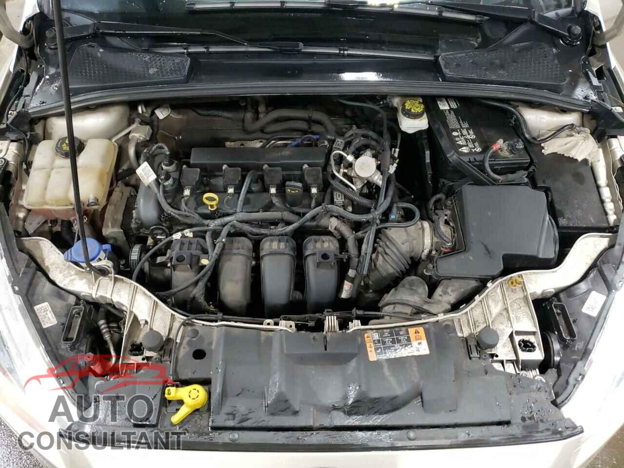 FORD FOCUS 2017 - 1FADP3F2XHL254726