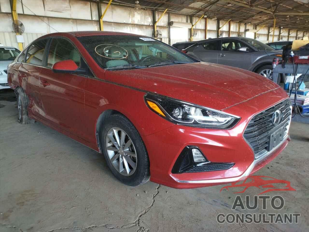 HYUNDAI SONATA 2019 - 5NPE24AF0KH768349