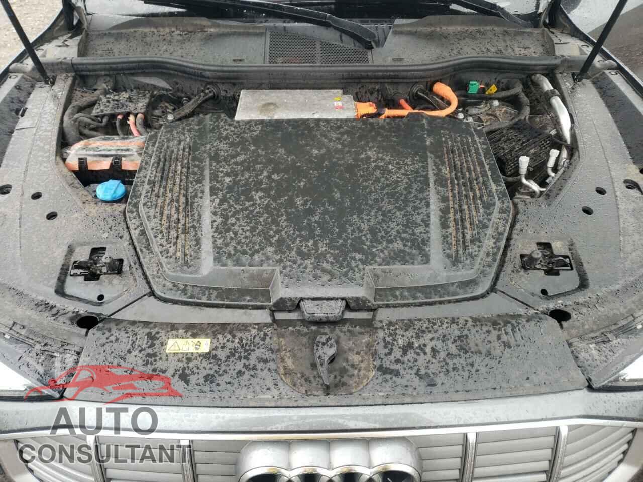 AUDI E-TRON 2019 - WA1VAAGE3KB006113