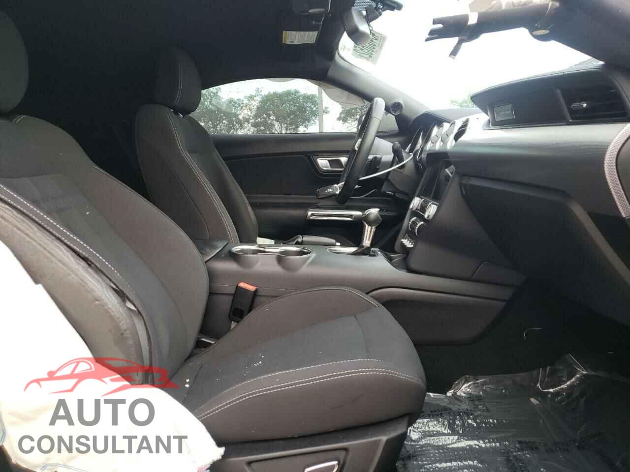 FORD MUSTANG 2019 - 1FA6P8TH5K5116943