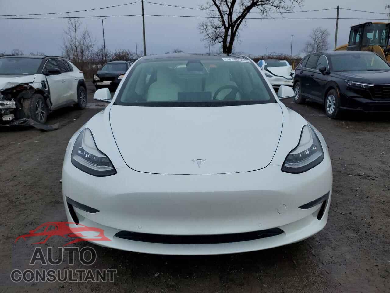 TESLA MODEL 3 2019 - 5YJ3E1EA2KF419462