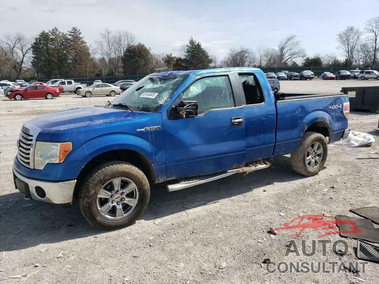 FORD F-150 2010 - 1FTFX1EV8AFC47510