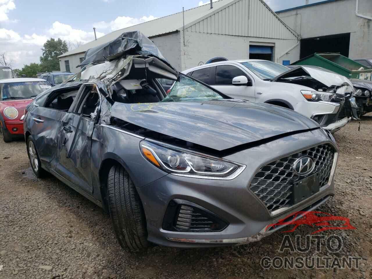 HYUNDAI SONATA 2019 - 5NPE34AF8KH742997