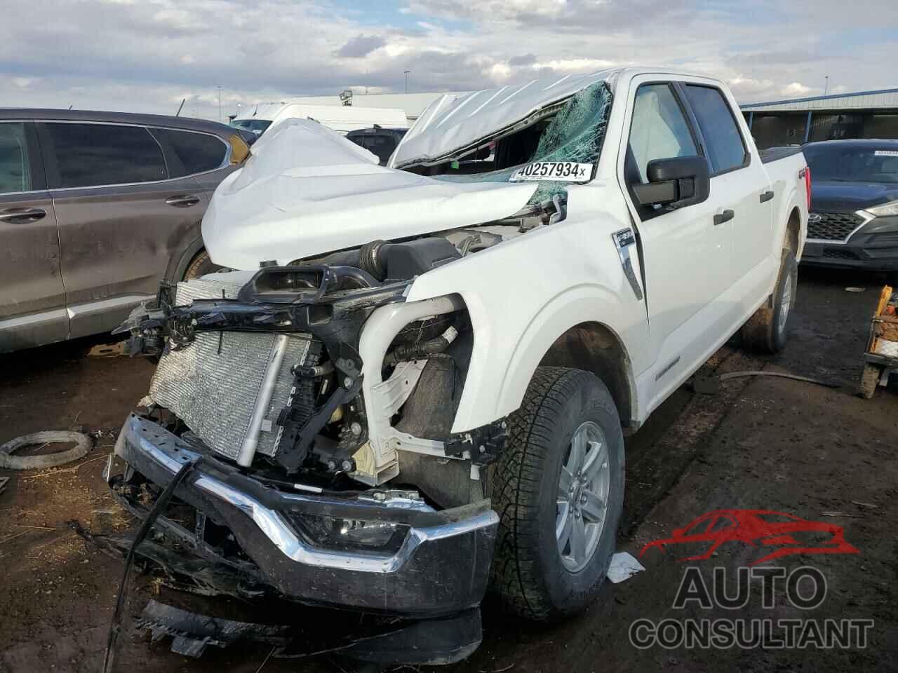 FORD F-150 2023 - 1FTFW1ED4PFC64873