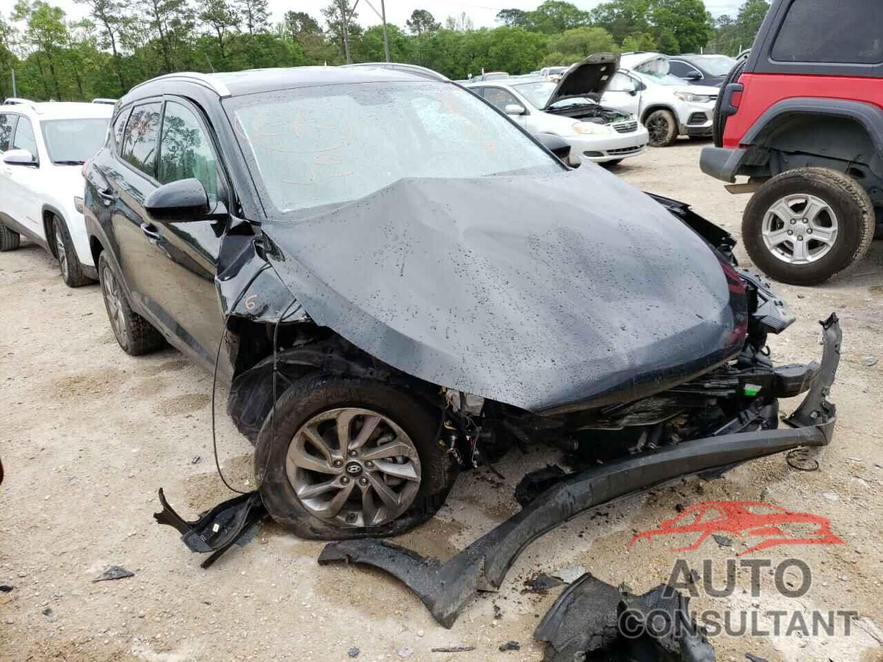 HYUNDAI TUCSON 2017 - KM8J33A48HU381403