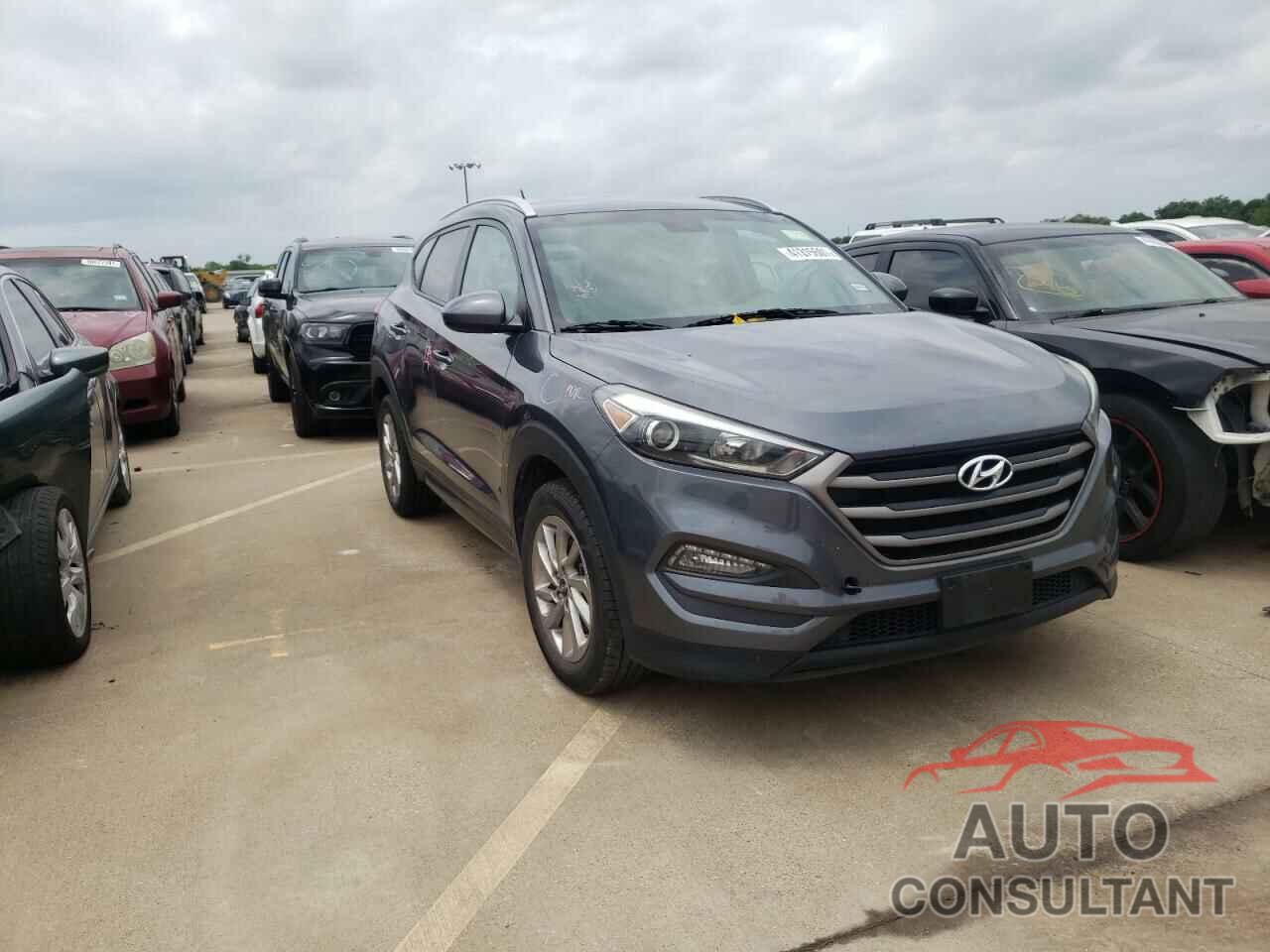 HYUNDAI TUCSON 2016 - KM8J33A40GU098086