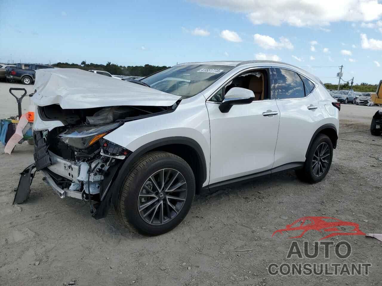 LEXUS NX 250 2022 - 2T2GDCAZ0NC001806