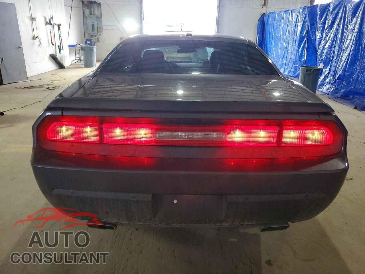 DODGE CHALLENGER 2014 - 2C3CDYAG1EH247515
