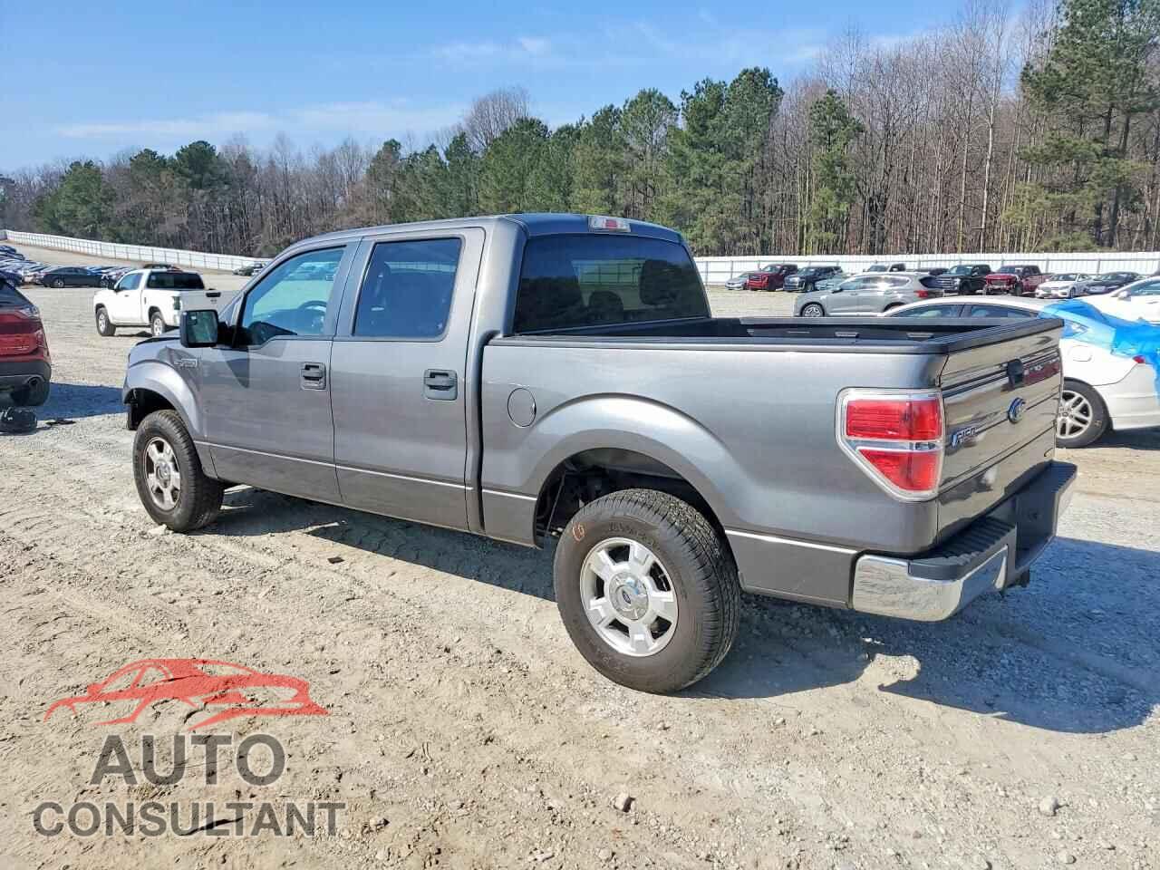 FORD F150 2013 - 1FTFW1CF9DFD49417