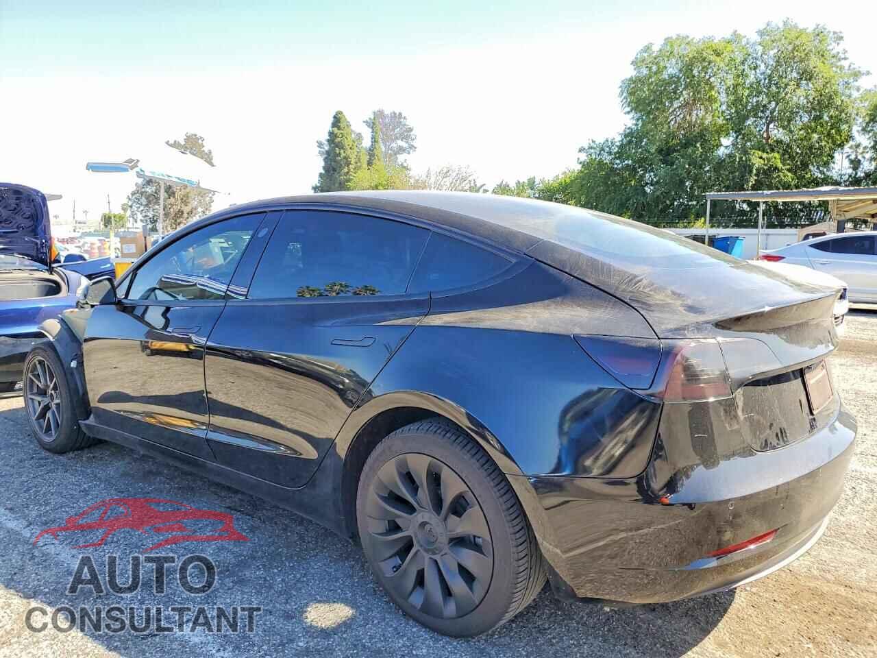 TESLA MODEL 3 2019 - 5YJ3E1EA9KF396049