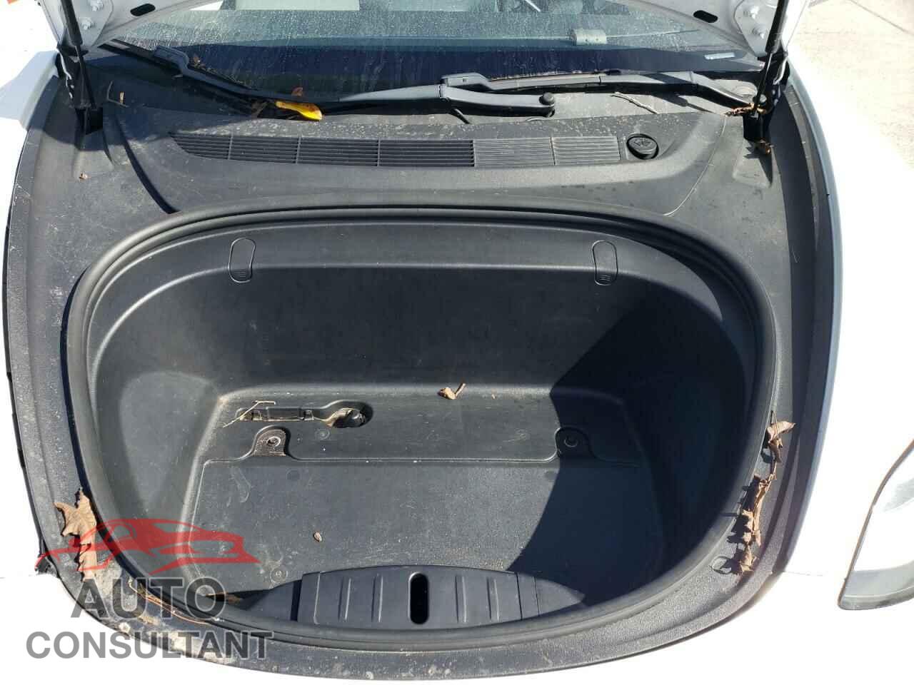 TESLA MODEL 3 2019 - 5YJ3E1EA2KF486904