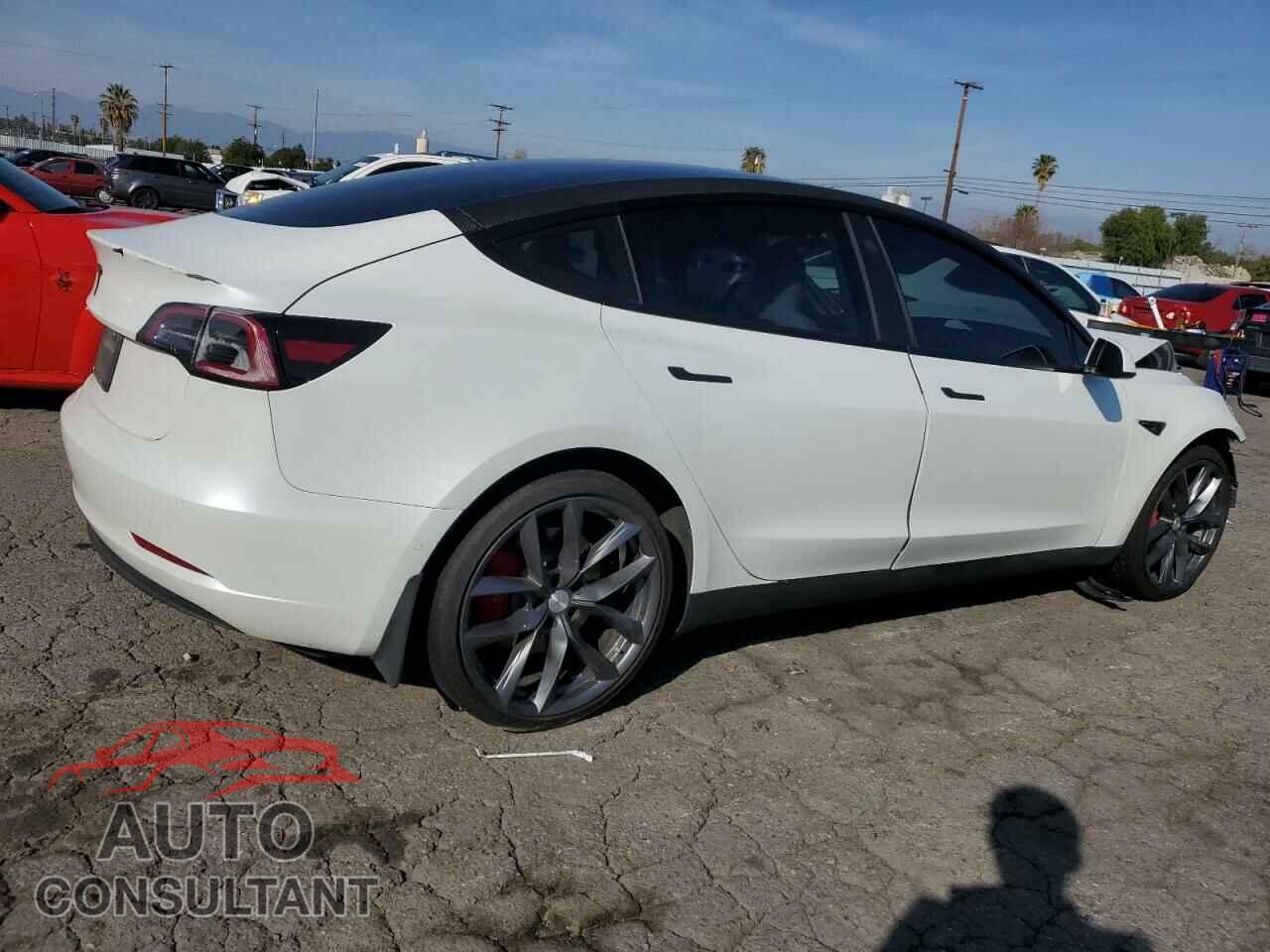 TESLA MODEL 3 2022 - 5YJ3E1EC0NF209304