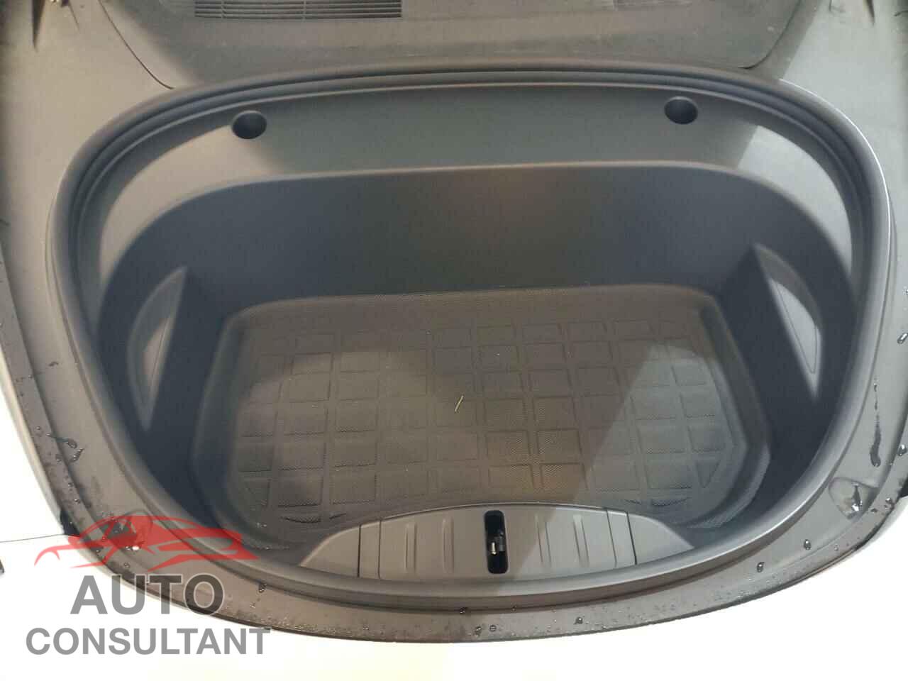 TESLA MODEL 3 2021 - 5YJ3E1EAXMF029227