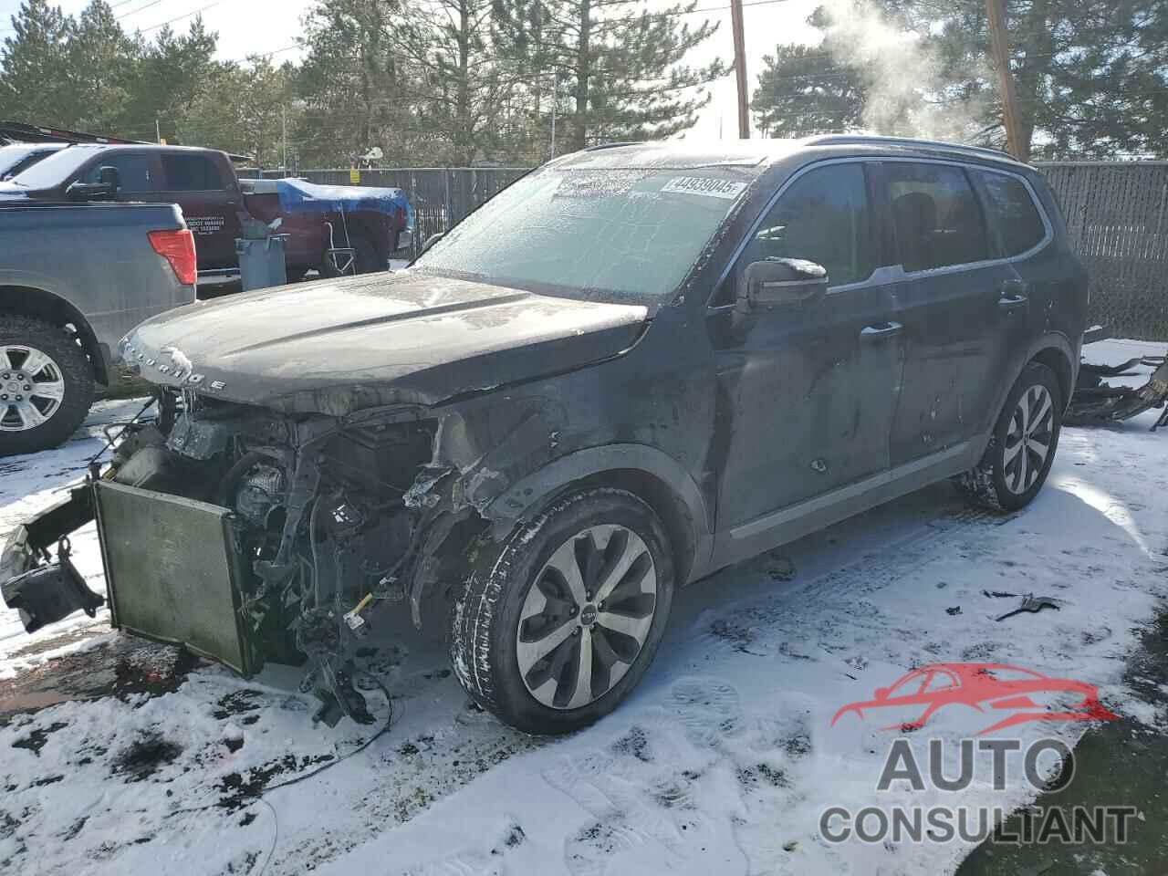 KIA TELLURIDE 2022 - 5XYP6DHC5NG319656