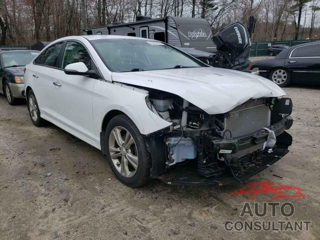 HYUNDAI SONATA 2018 - 5NPE34AF5JH666766