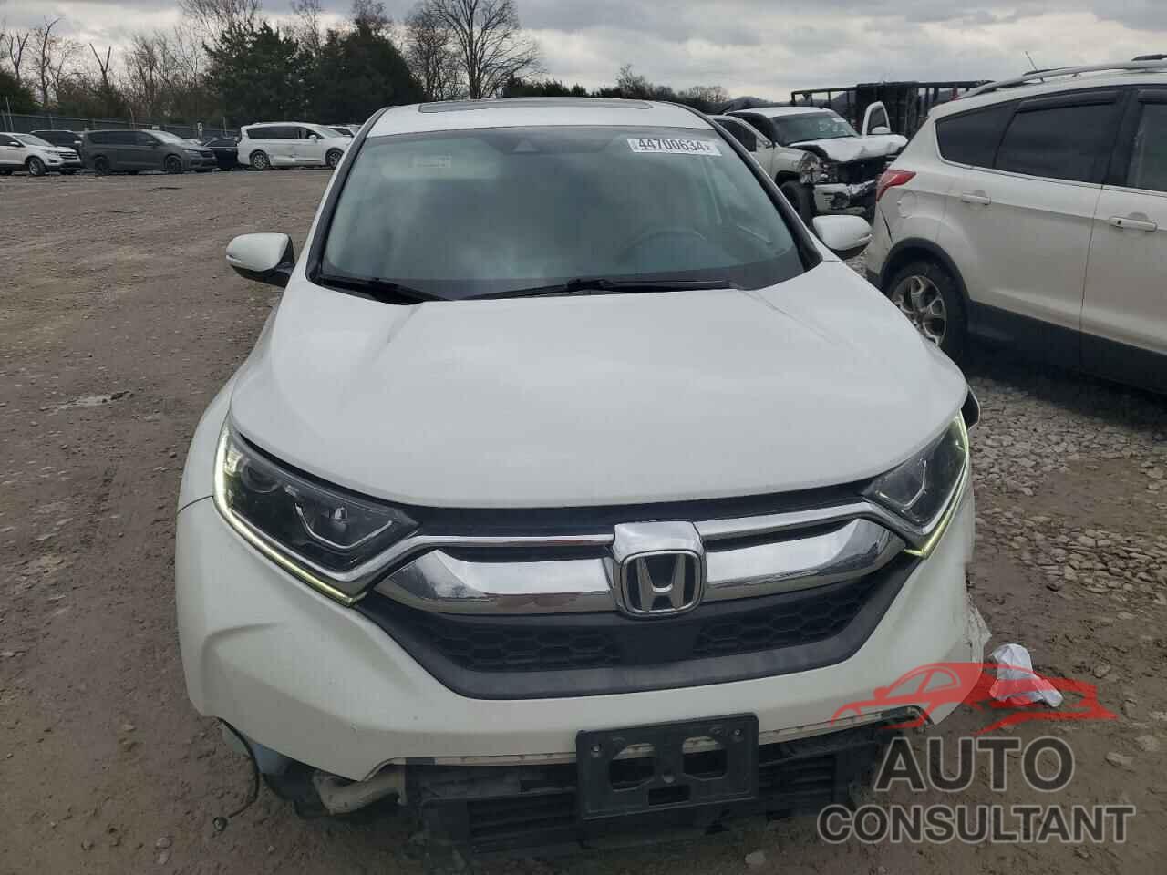 HONDA CRV 2019 - 5J6RW1H84KA018613