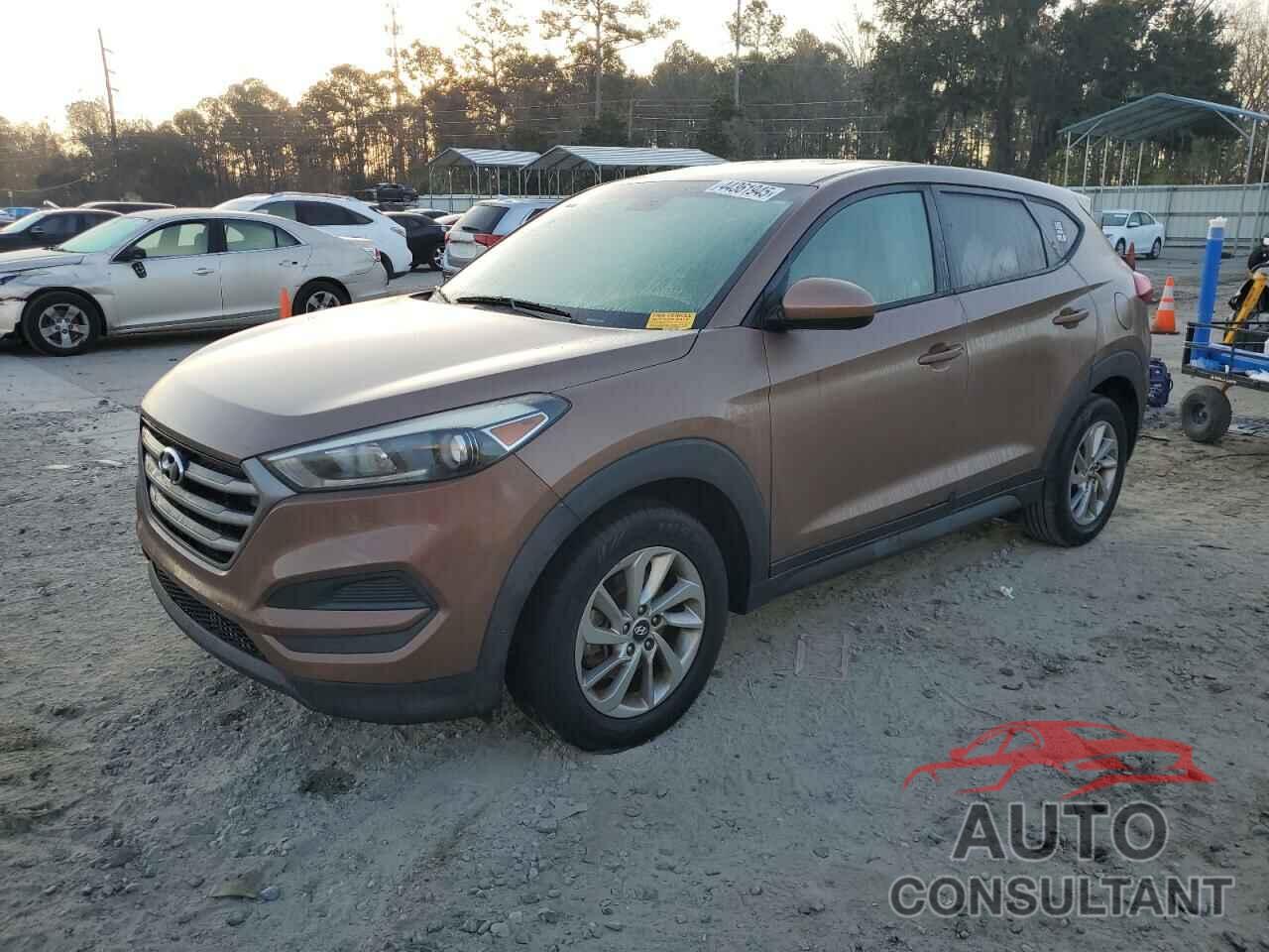 HYUNDAI TUCSON 2016 - KM8J23A46GU237902