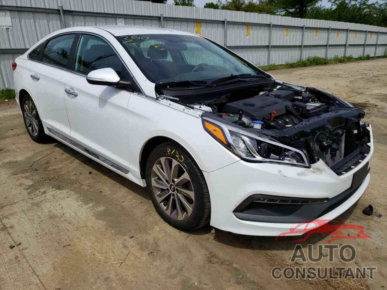 HYUNDAI SONATA 2016 - 5NPE34AF5GH434127