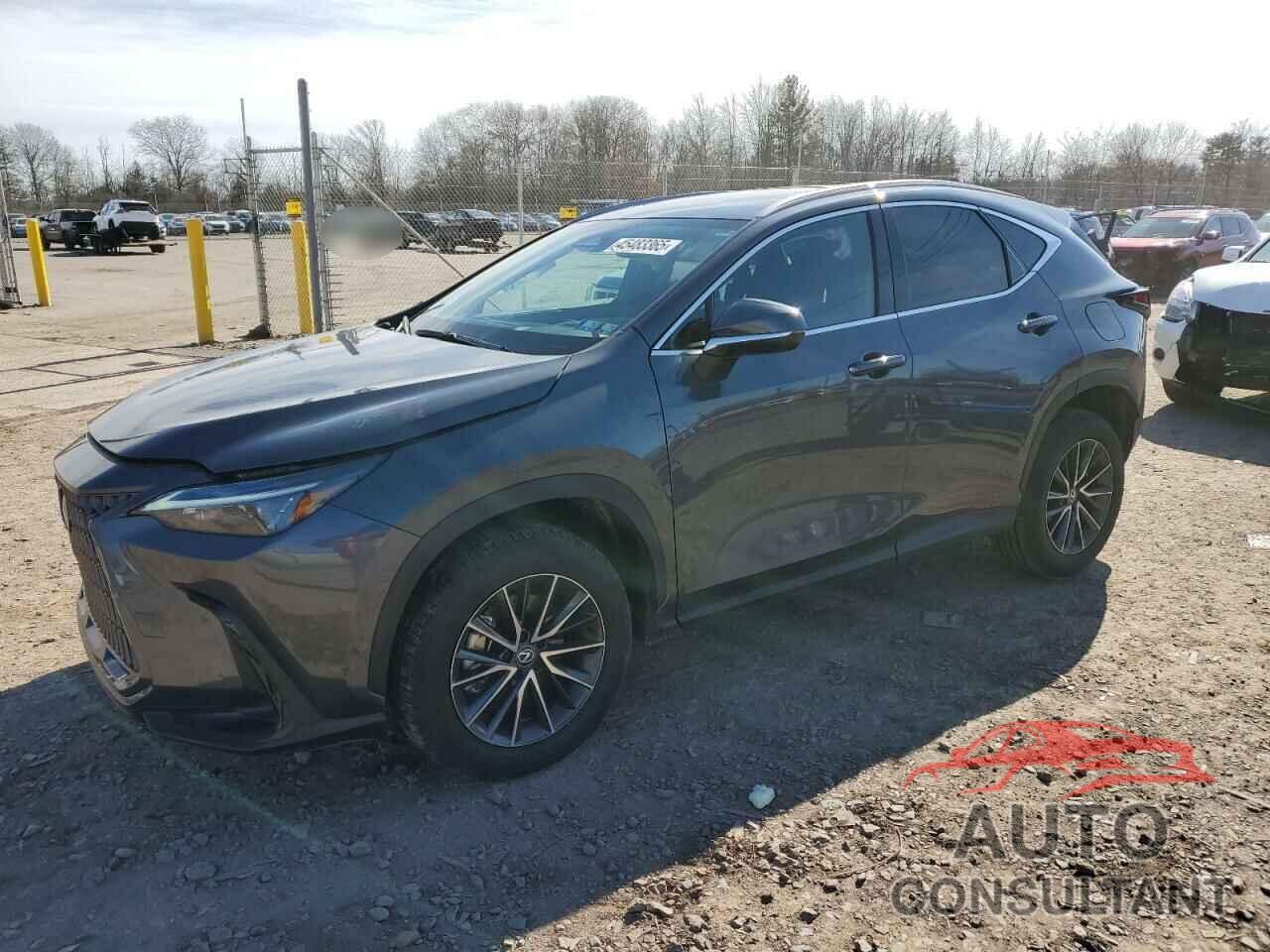 LEXUS NX 350 BAS 2024 - 2T2AGCEZXRC037869