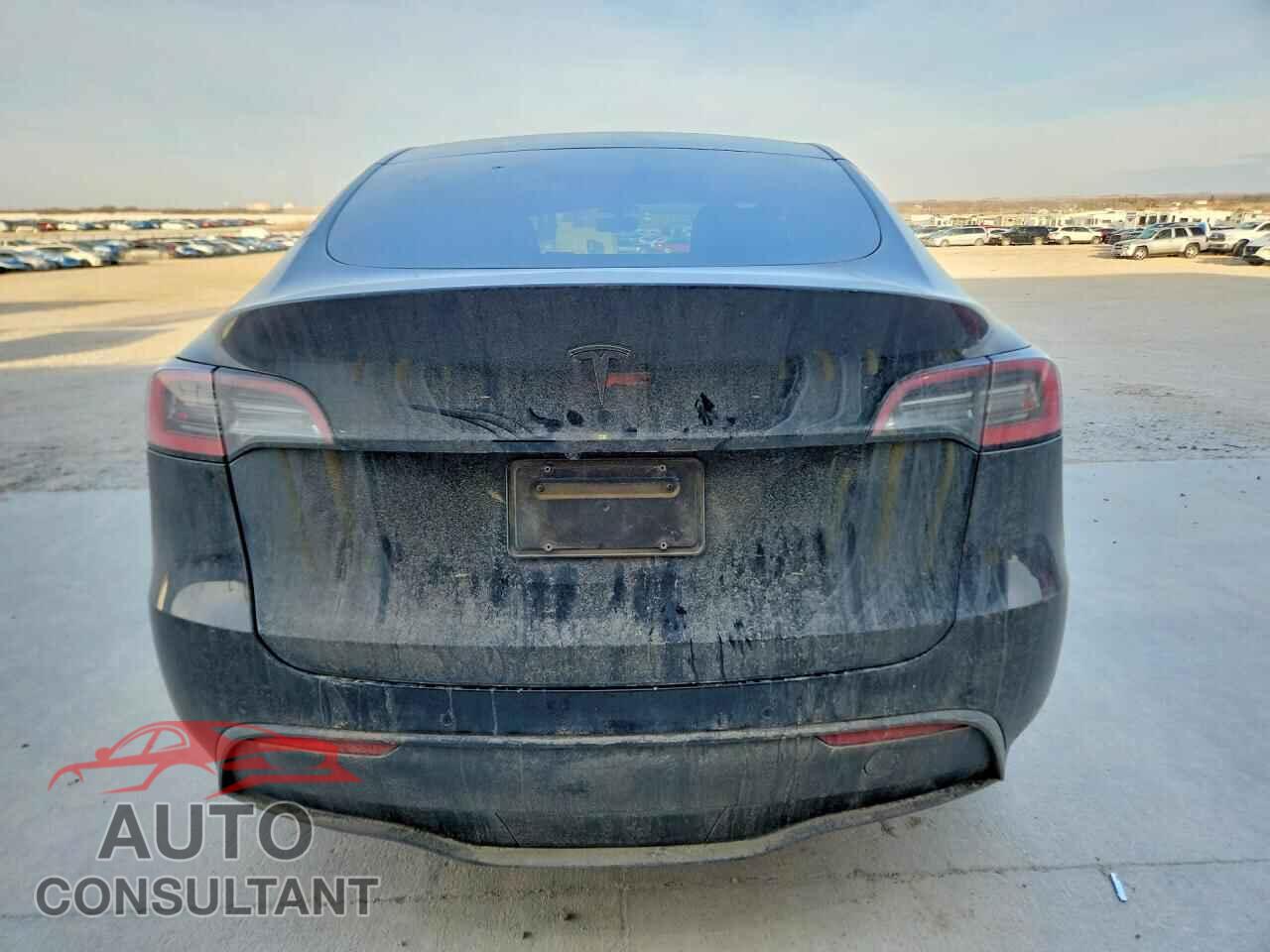 TESLA MODEL Y 2021 - 5YJYGDEEXMF097161