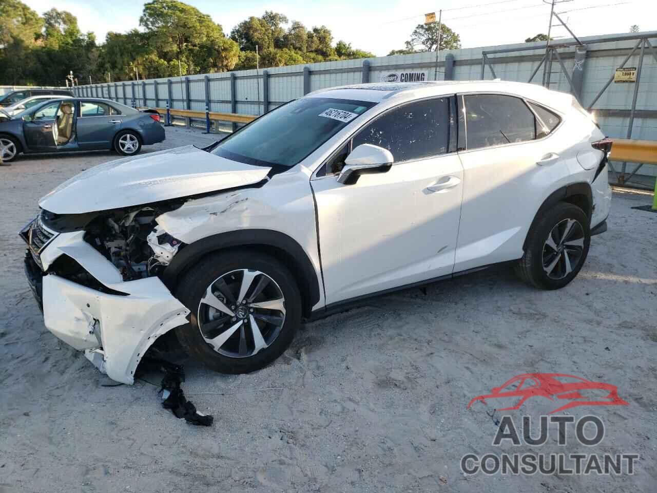 LEXUS NX 2021 - JTJGARBZ7M5022546