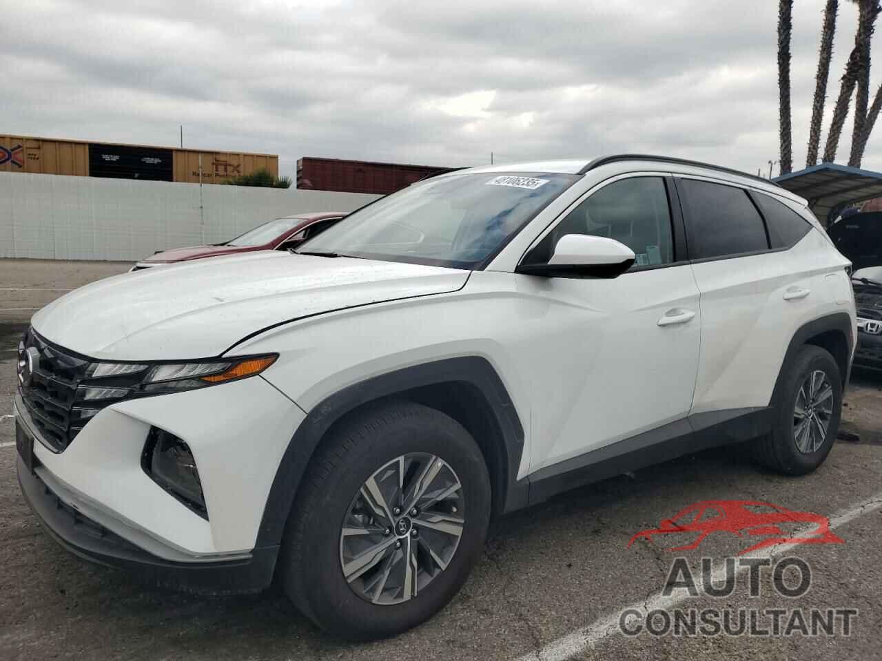 HYUNDAI TUCSON 2024 - KM8JBCD14RU228460