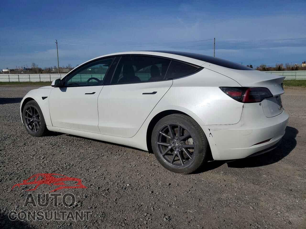 TESLA MODEL 3 2021 - 5YJ3E1EA2MF920385