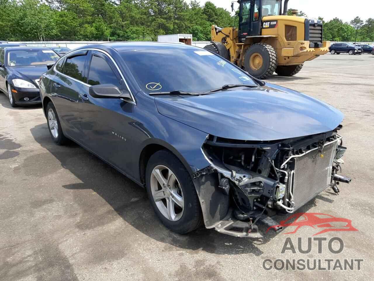 CHEVROLET MALIBU 2019 - 1G1ZB5ST1KF115088