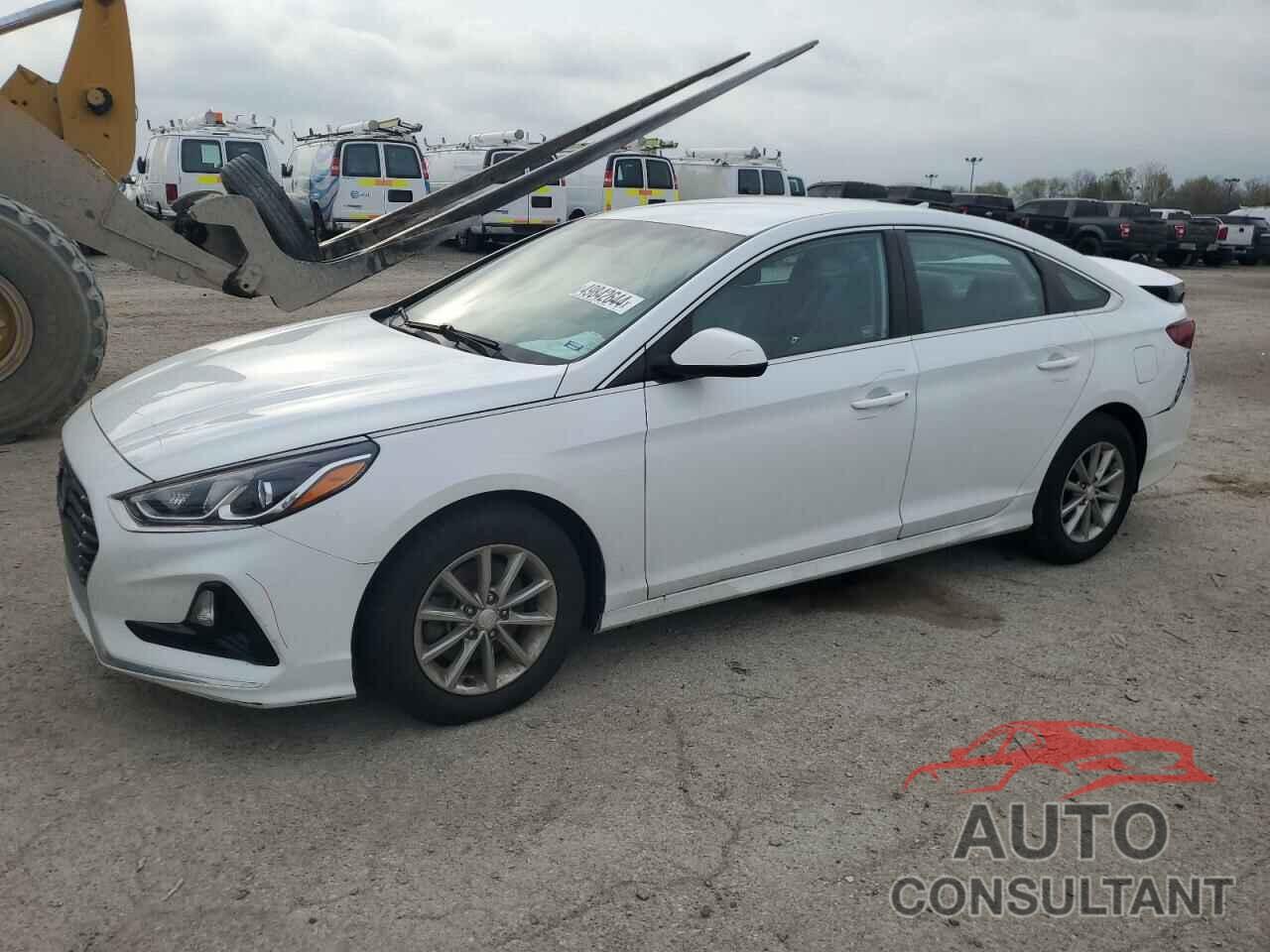 HYUNDAI SONATA 2018 - 5NPE24AF6JH682204