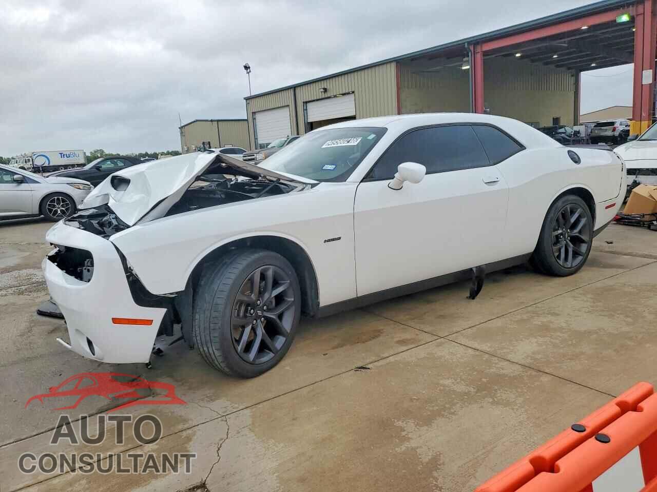 DODGE CHALLENGER 2019 - 2C3CDZBTXKH513434