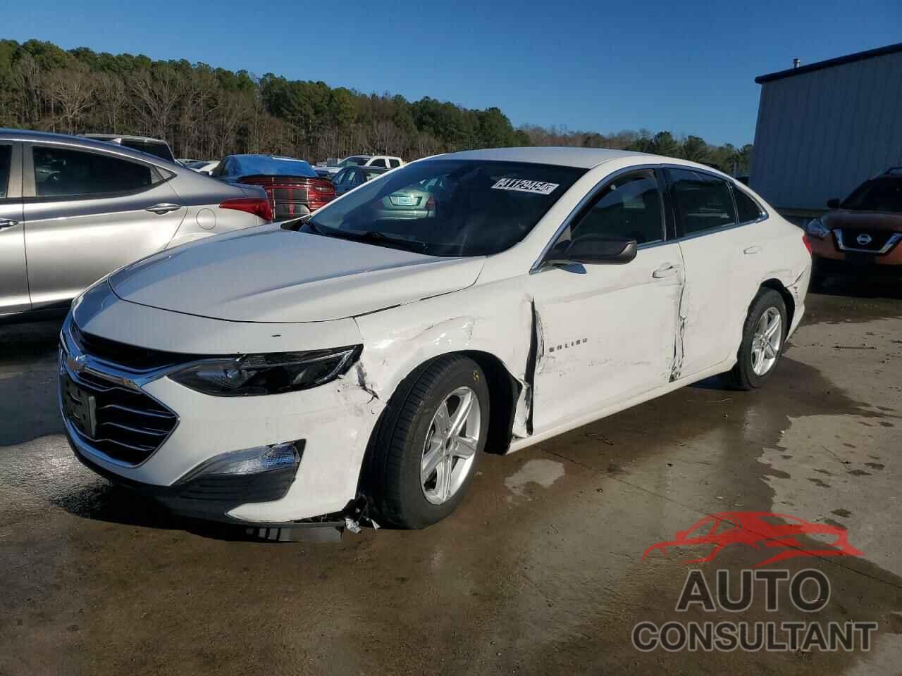 CHEVROLET MALIBU 2019 - 1G1ZB5ST6KF217700