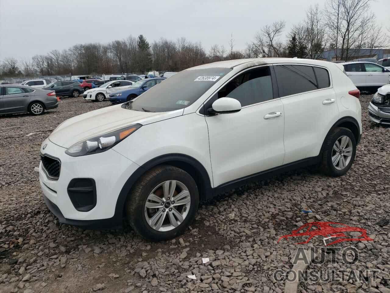 KIA SPORTAGE 2019 - KNDPM3ACXK7498988