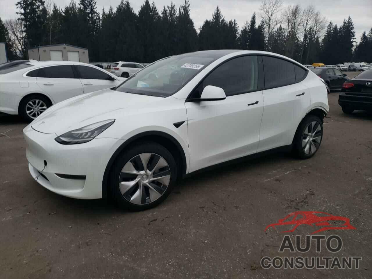 TESLA MODEL Y 2020 - 5YJYGDEE9LF018206