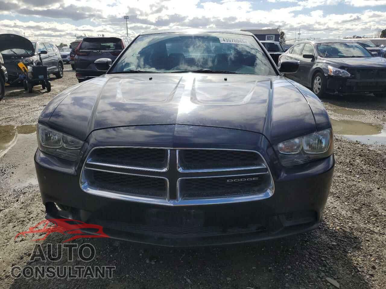 DODGE CHARGER 2011 - 2B3CL3CG7BH550357