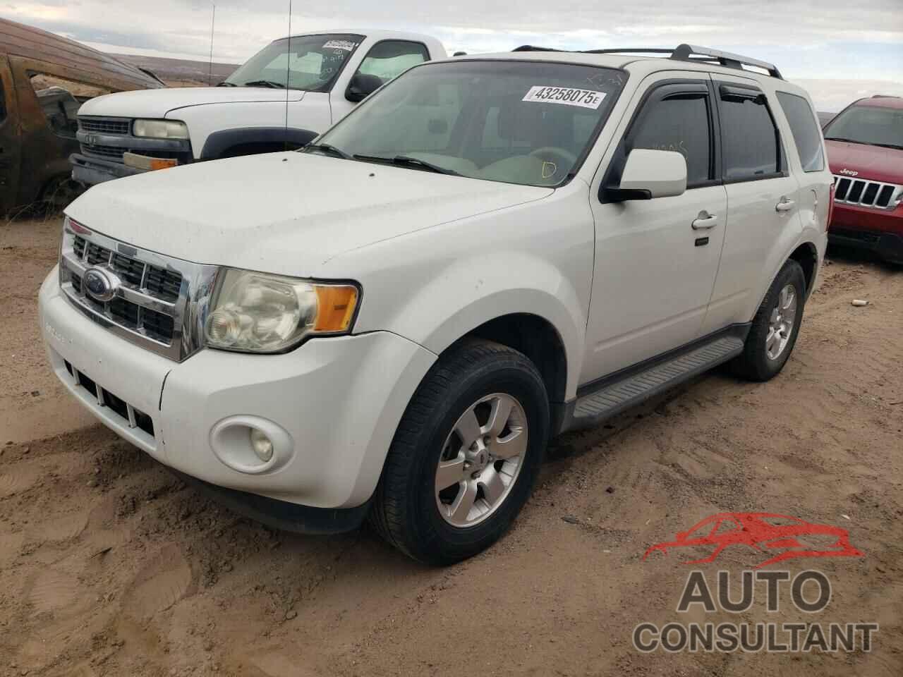 FORD ESCAPE 2010 - 1FMCU0EG2AKD45409