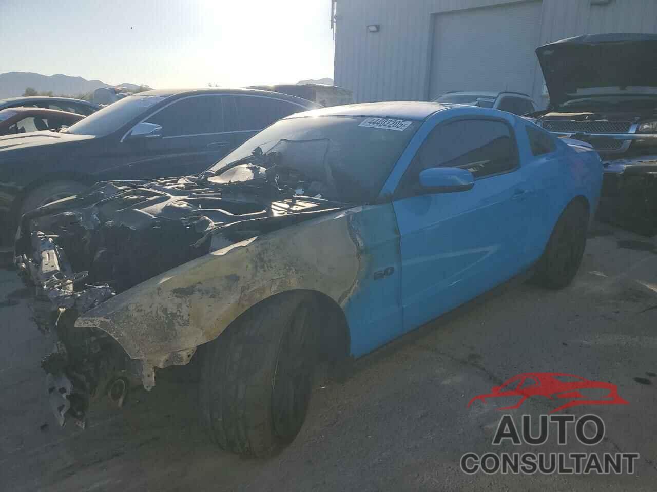 FORD MUSTANG 2011 - 1ZVBP8CF8B5165803
