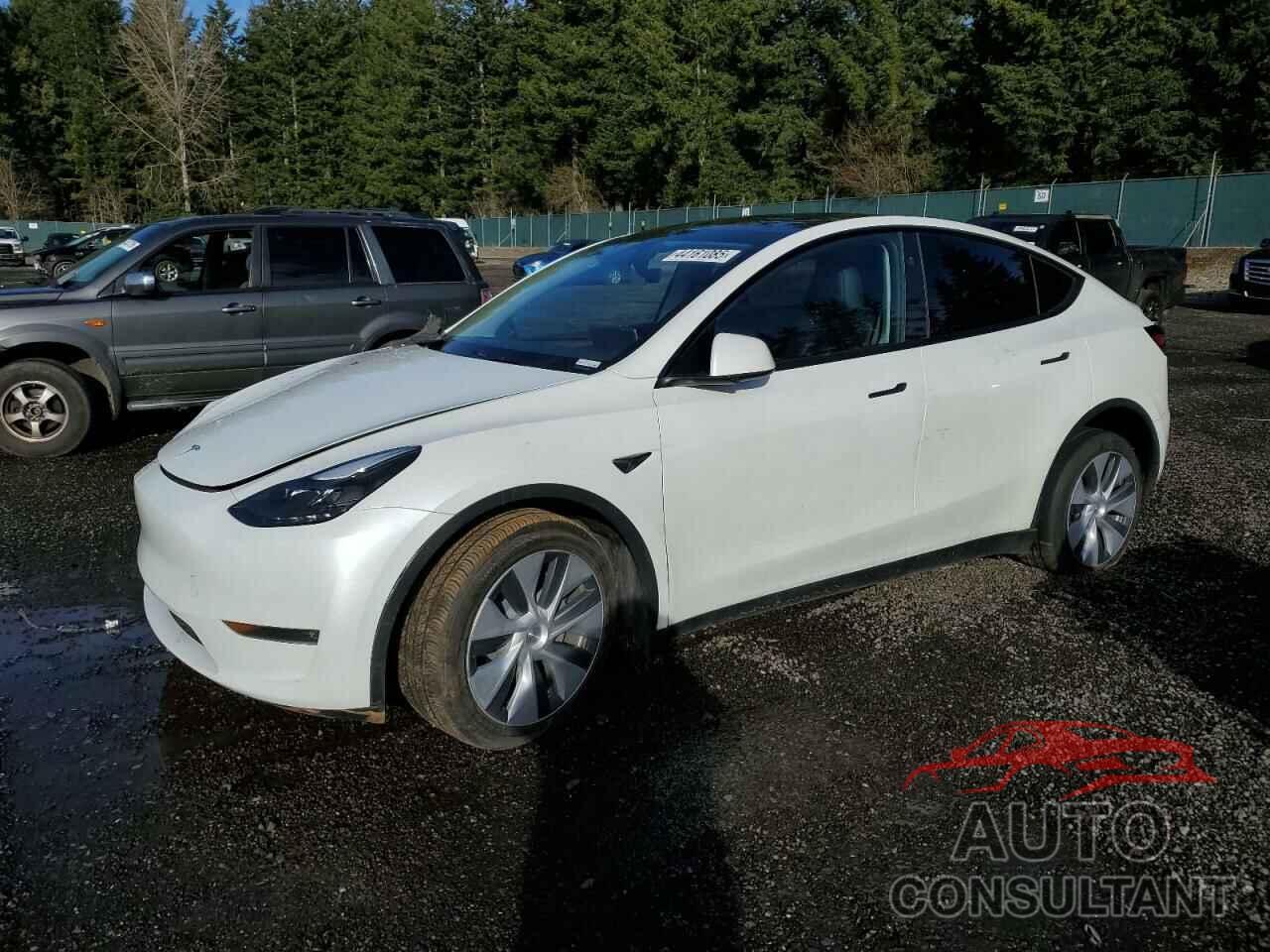 TESLA MODEL Y 2024 - 7SAYGAEE1RF988982