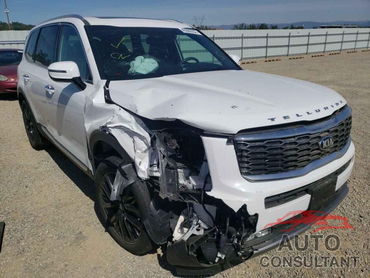 KIA TELLURIDE 2021 - 5XYP5DHC3MG132644