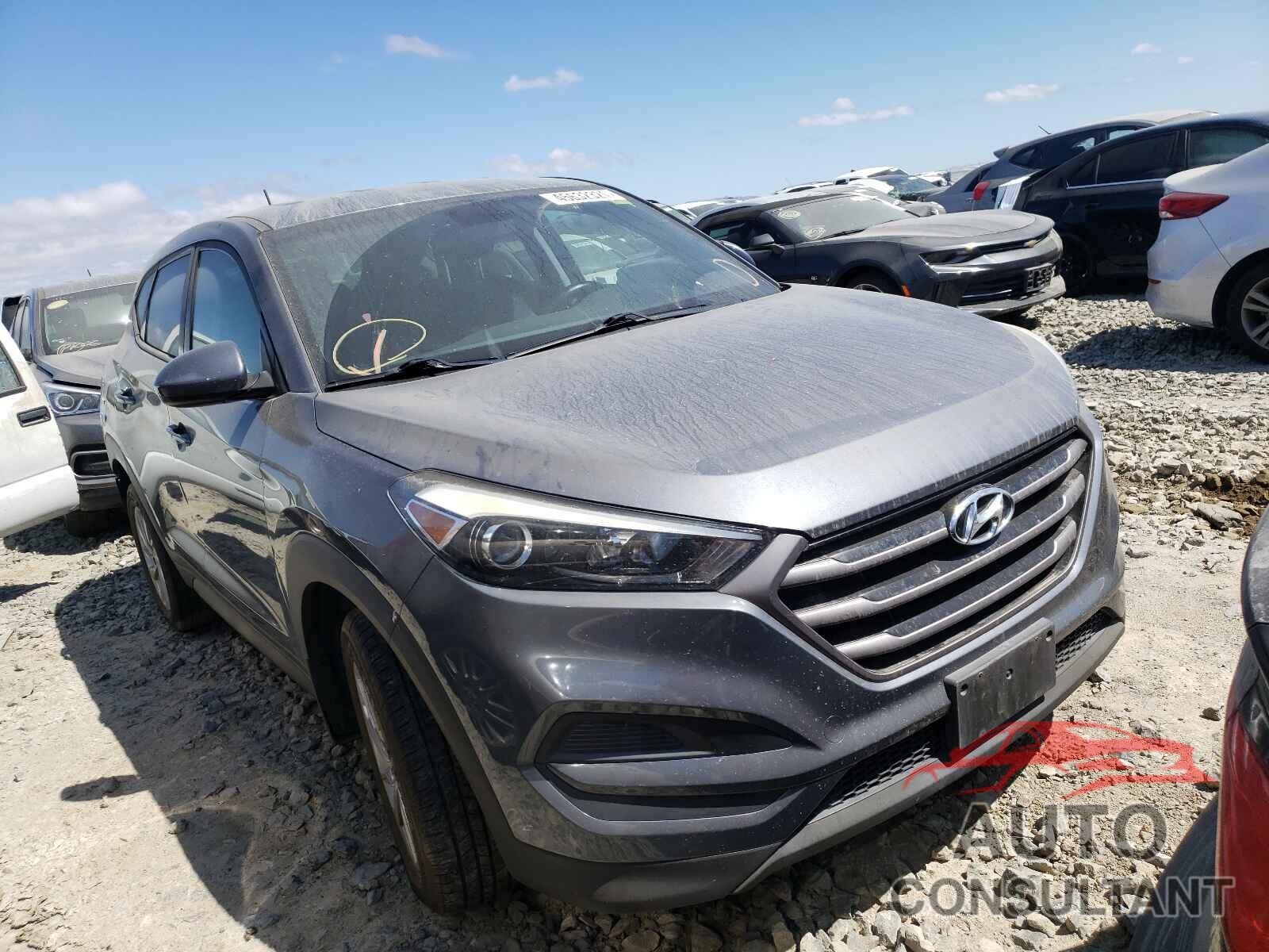 HYUNDAI TUCSON 2016 - KM8J23A48GU210328