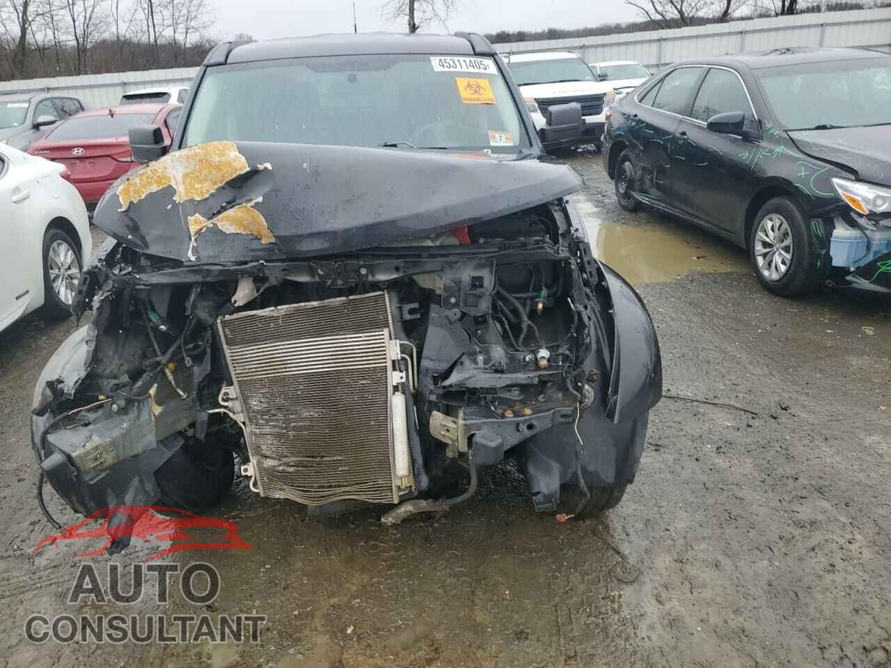 DODGE NITRO 2011 - 1D4PU4GKXBW529413